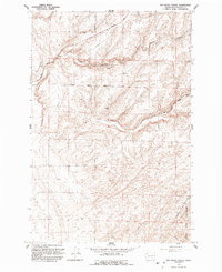 preview thumbnail of historical topo map of Franklin County, WA in 1991