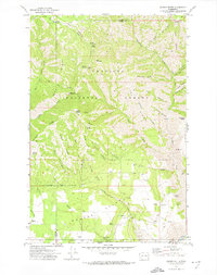 Download a high-resolution, GPS-compatible USGS topo map for Saddle Butte, WA (1974 edition)