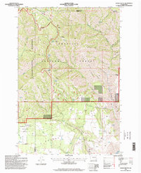 Download a high-resolution, GPS-compatible USGS topo map for Saddle Butte, WA (1998 edition)