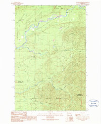Download a high-resolution, GPS-compatible USGS topo map for Salmon River East, WA (1990 edition)