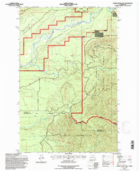 Download a high-resolution, GPS-compatible USGS topo map for Salmon River East, WA (1997 edition)