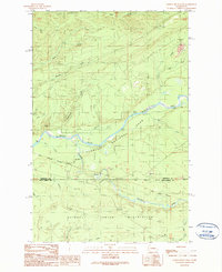 Download a high-resolution, GPS-compatible USGS topo map for Salmon River West, WA (1990 edition)