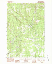 Download a high-resolution, GPS-compatible USGS topo map for Satus Pass, WA (1983 edition)