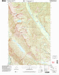 Download a high-resolution, GPS-compatible USGS topo map for Schaffer Lake, WA (2008 edition)
