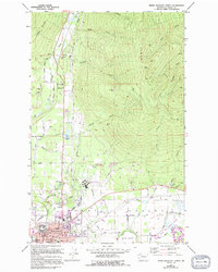 preview thumbnail of historical topo map of Skagit County, WA in 1981