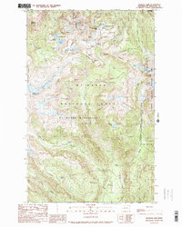 preview thumbnail of historical topo map of Whatcom County, WA in 1989