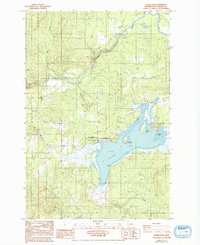 Download a high-resolution, GPS-compatible USGS topo map for Silver Lake, WA (1993 edition)