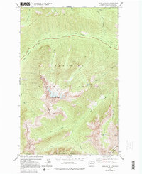 Download a high-resolution, GPS-compatible USGS topo map for Silver Star Mountain, WA (1992 edition)