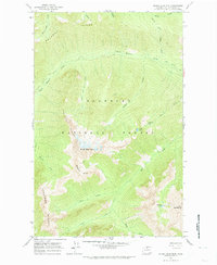 Download a high-resolution, GPS-compatible USGS topo map for Silver Star Mtn, WA (1974 edition)