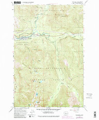 Download a high-resolution, GPS-compatible USGS topo map for Skykomish, WA (1982 edition)