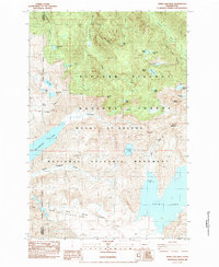 preview thumbnail of historical topo map of Skamania County, WA in 1984