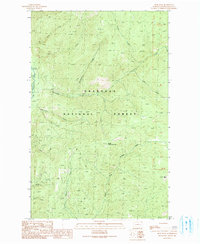 Download a high-resolution, GPS-compatible USGS topo map for Spur Peak, WA (1991 edition)
