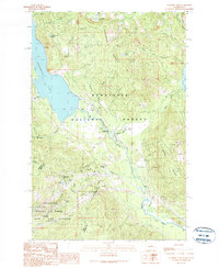 preview thumbnail of historical topo map of Kittitas County, WA in 1989