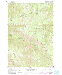 Download a high-resolution, GPS-compatible USGS topo map for Stentz Spring, WA (1991 edition)