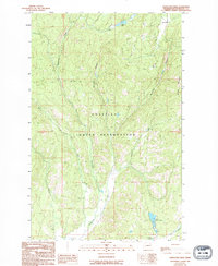 Download a high-resolution, GPS-compatible USGS topo map for Stepstone Creek, WA (1994 edition)