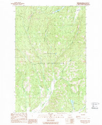 Download a high-resolution, GPS-compatible USGS topo map for Stepstone Creek, WA (1989 edition)