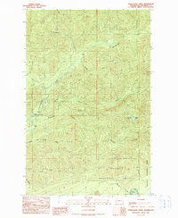 Download a high-resolution, GPS-compatible USGS topo map for Stequaleho Creek, WA (1990 edition)