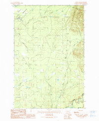 Download a high-resolution, GPS-compatible USGS topo map for Stevens Creek, WA (1990 edition)