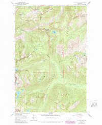 Download a high-resolution, GPS-compatible USGS topo map for Stevens Pass, WA (1987 edition)
