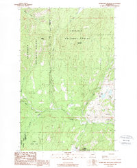 Download a high-resolution, GPS-compatible USGS topo map for Storm King Mountain, WA (1988 edition)