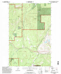 Download a high-resolution, GPS-compatible USGS topo map for Storm King Mountain, WA (1997 edition)