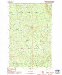 Download a high-resolution, GPS-compatible USGS topo map for Strawberry Mountain, WA (1994 edition)