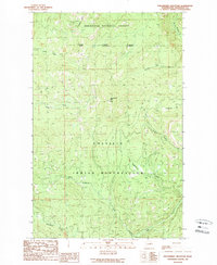 Download a high-resolution, GPS-compatible USGS topo map for Strawberry Mountain, WA (1989 edition)