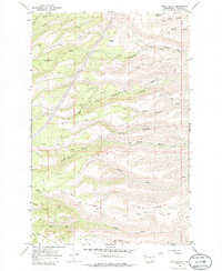 Download a high-resolution, GPS-compatible USGS topo map for Stray Gulch, WA (1986 edition)