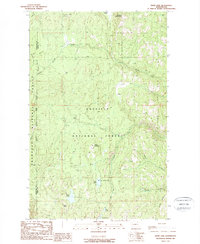 Download a high-resolution, GPS-compatible USGS topo map for Swan Lake, WA (1988 edition)