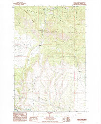 Download a high-resolution, GPS-compatible USGS topo map for Swauk Prairie, WA (1985 edition)