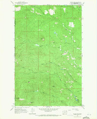 Download a high-resolution, GPS-compatible USGS topo map for Tacoma Peak, WA (1971 edition)