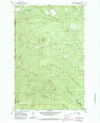 Download a high-resolution, GPS-compatible USGS topo map for Tacoma Peak, WA (1984 edition)