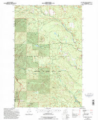 Download a high-resolution, GPS-compatible USGS topo map for Tacoma Peak, WA (1996 edition)