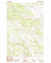 Download a high-resolution, GPS-compatible USGS topo map for Taneum Canyon, WA (1985 edition)
