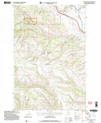Download a high-resolution, GPS-compatible USGS topo map for Taneum Canyon, WA (2006 edition)