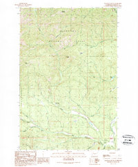 Download a high-resolution, GPS-compatible USGS topo map for Teanaway, WA (1989 edition)