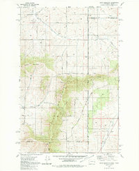 Download a high-resolution, GPS-compatible USGS topo map for Tekoa Mountain, WA (1981 edition)