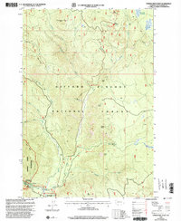 Download a high-resolution, GPS-compatible USGS topo map for Termination Point, WA (2003 edition)