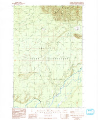 Download a high-resolution, GPS-compatible USGS topo map for Thimble Mountain, WA (1993 edition)