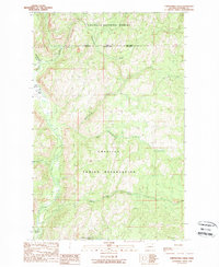 Download a high-resolution, GPS-compatible USGS topo map for Thirteenmile Creek, WA (1989 edition)