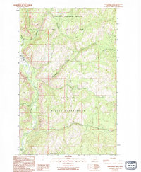 Download a high-resolution, GPS-compatible USGS topo map for Thirteenmile Creek, WA (1994 edition)
