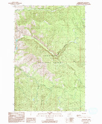 Download a high-resolution, GPS-compatible USGS topo map for Thrapp Mtn, WA (1993 edition)