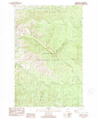 Download a high-resolution, GPS-compatible USGS topo map for Thrapp Mtn, WA (1989 edition)