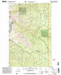 Download a high-resolution, GPS-compatible USGS topo map for Thrapp Mtn, WA (2004 edition)