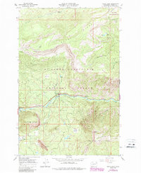 Download a high-resolution, GPS-compatible USGS topo map for Tieton Basin, WA (1987 edition)