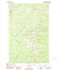 Download a high-resolution, GPS-compatible USGS topo map for Tiffany Mtn, WA (1989 edition)