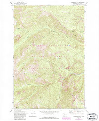 Download a high-resolution, GPS-compatible USGS topo map for Timberwolf Mtn, WA (1987 edition)