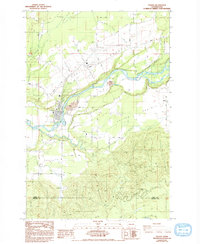 Download a high-resolution, GPS-compatible USGS topo map for Toledo, WA (1993 edition)