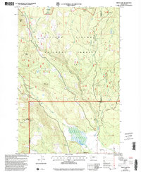 Download a high-resolution, GPS-compatible USGS topo map for Trout Lake, WA (2003 edition)