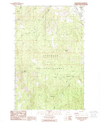 Download a high-resolution, GPS-compatible USGS topo map for Tunk Mountain, WA (1988 edition)